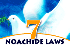 SevenNoachitdeLaws230x150.gif